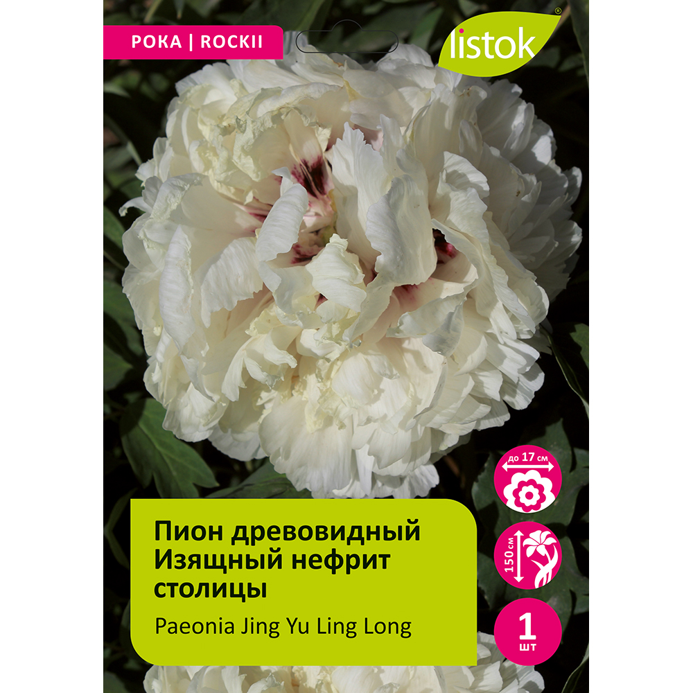 Пион древовидный Изящный нефрит столицы 1шт/Paeonia Jing Yu Ling Long (Цзин Юй Лин Лон)