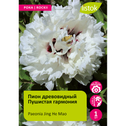 Пион древовидный Пушистая гармония 1шт /Paeonia Jing He Mao(Цзин Хэ Мао)
