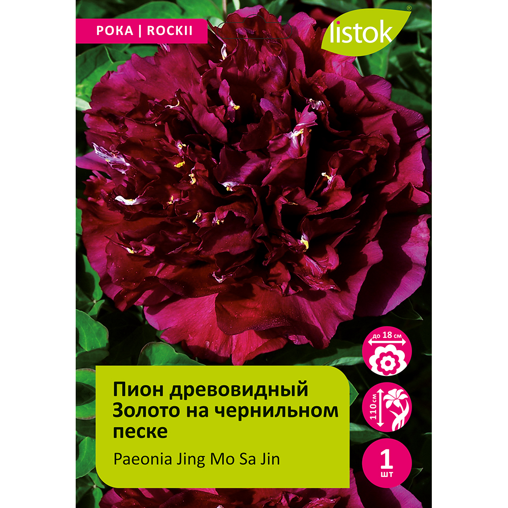 Пион древовидный Золото на чернильном песке 1шт /Paeonia Jing Mo Sa Jin (Цзин Мо Са Цзинь)