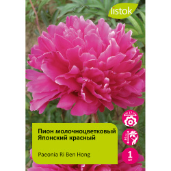 Пион молочноцветковый Японский красный 1шт/Paeonia Ri Ben Hong (Ри Бэнь Хун)