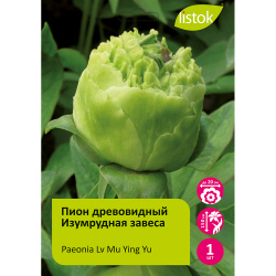 Пион древовидный Изумрудная завеса 1шт/Paeonia Lv Mu Ying Yu (Green screen)(Лу Му Йинг Ю)