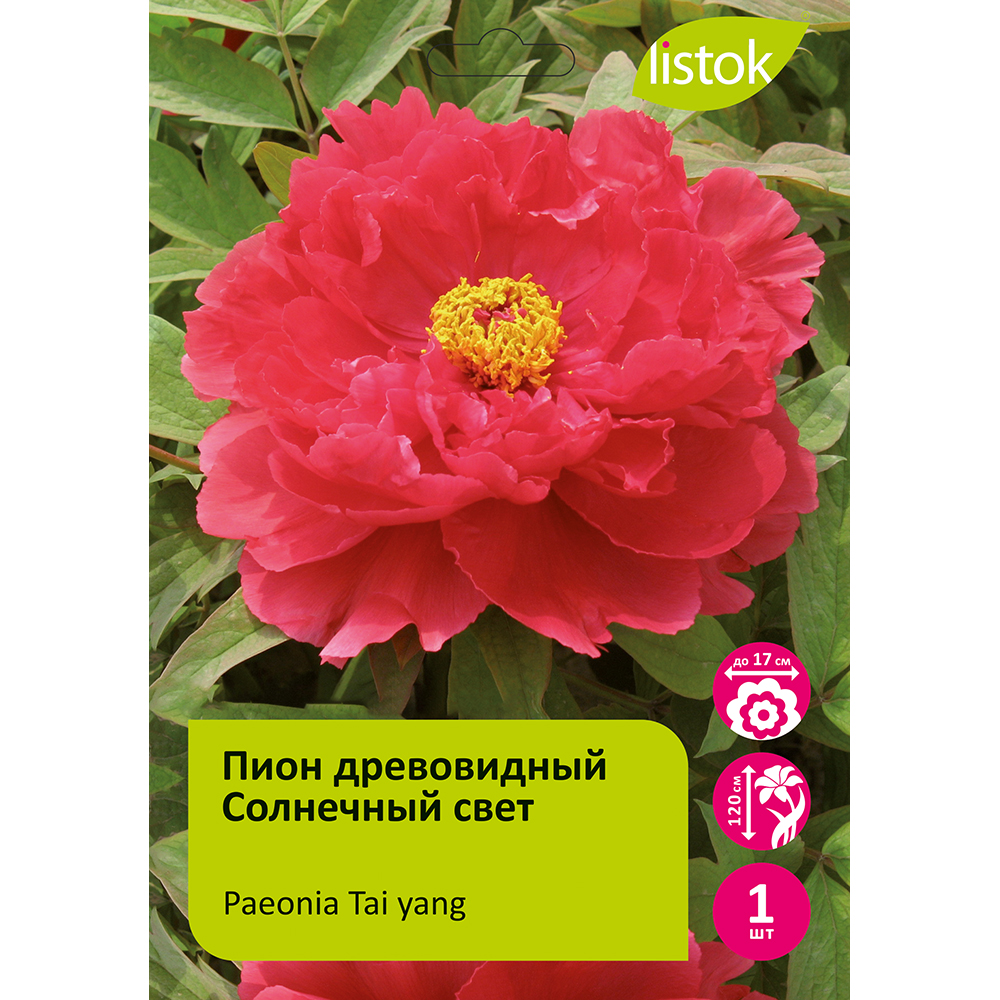 Пион древовидный Солнечный свет 1шт/Paeonia Tai yang (Sunshine) (Тай Янь) Японская селекция