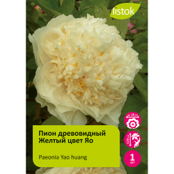Пион древовидный Желтый цвет Яо 1шт/Paeonia Yao huang (Yao’s yellow)(Яо Хуанг)