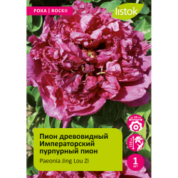Пион древовидный Императорский пурпурный пион 1шт /Paeonia Jing Lou Zi (Цзин Лу Зи)