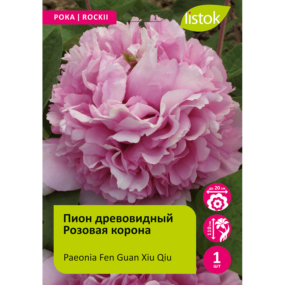 Пион древовидный Розовая корона 1шт/Paeonia Fen Guan Xiu Qiu (Фэнь Гуань Сю Цю)