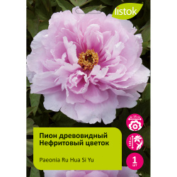 Пион древовидный Нефритовый цветок 1шт/Paeonia Ru Hua Si Yu (Flower like jade)(Ру Хуа Сы Ю)