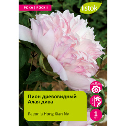 Пион древовидный Алая дива 1шт/Paeonia Hong Xian Nv (Хонг Сиань Нв)