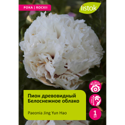 Пион древовидный Белоснежное облако 1шт/Paeonia Jing Yun Hao (Цзин Юнь Хао)