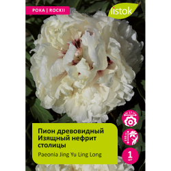 Пион древовидный Изящный нефрит столицы 1шт/Paeonia Jing Yu Ling Long (Цзин Юй Лин Лон)