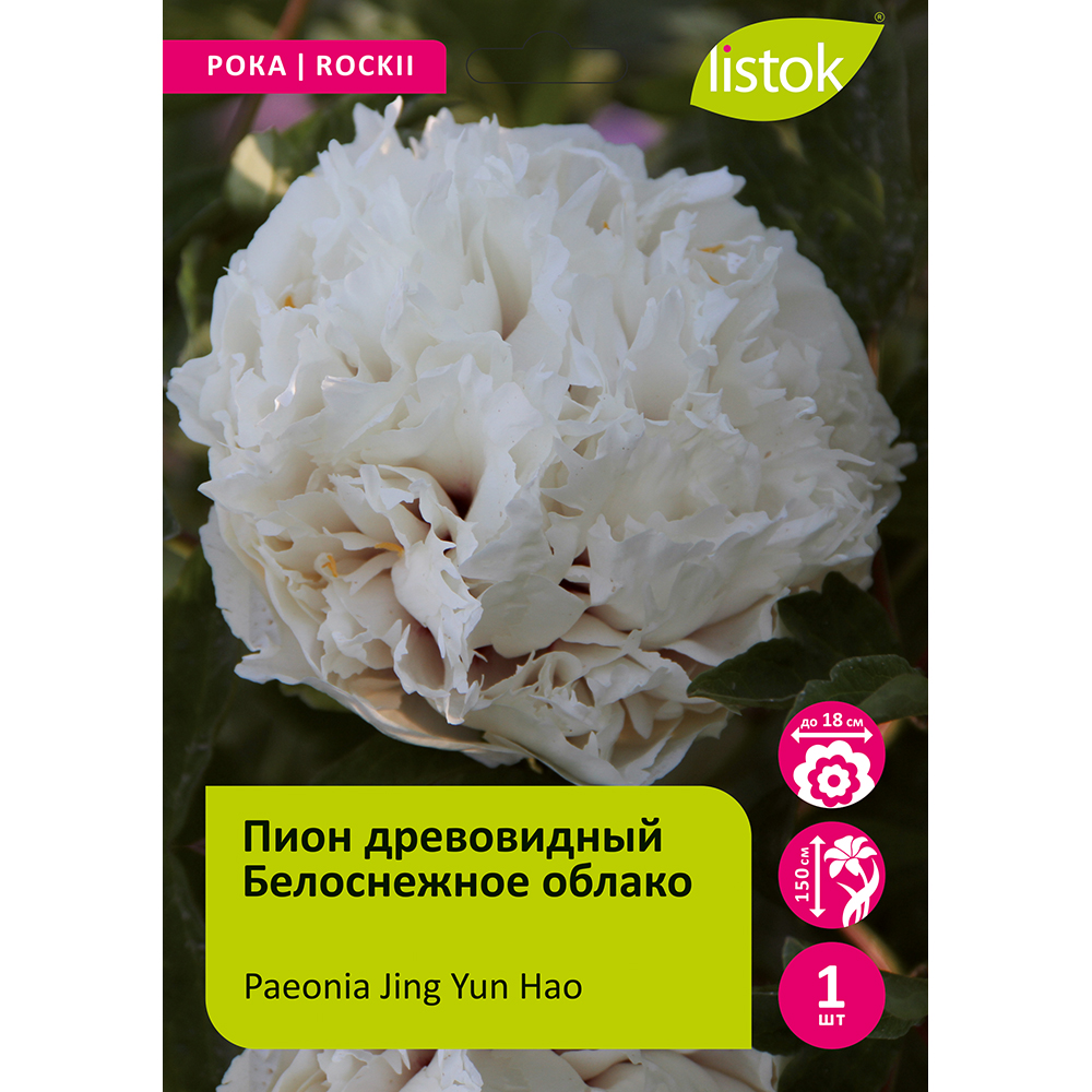 Пион древовидный Белоснежное облако 1шт/Paeonia Jing Yun Hao (Цзин Юнь Хао)