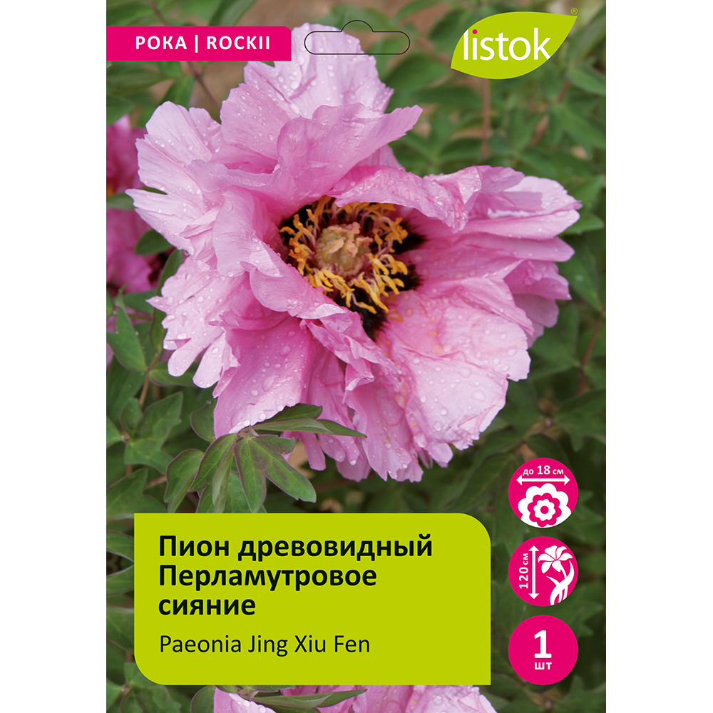 Пион древовидный Перламутровое сияние 1шт/Paeonia Jing Xiu Fen (Цзин Сю Фэнь)