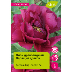 Пион древовидный Парящий дракон 1шт /Paeonia Jing Long Fei Se(Цзин Лонг Фей Се)