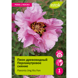 Пион древовидный Перламутровое сияние 1шт/Paeonia Jing Xiu Fen (Цзин Сю Фэнь)