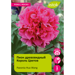 Пион древовидный Король Цветов 1шт/Paeonia Hua Wang (Хуа Ван)